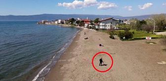 Dedektörle sahilde altın arıyor