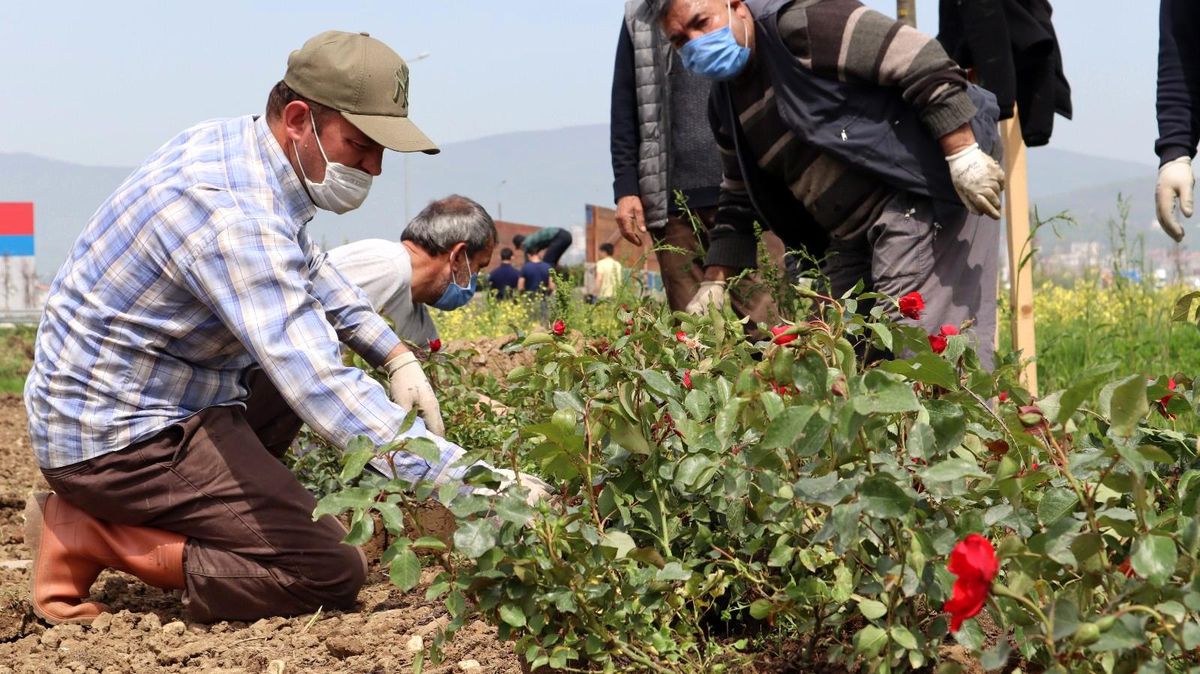 Dört bir yanda Düzce için çalışıyorlar