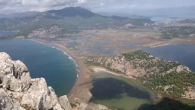 Dünyaca ünlü İztuzu sahilinin konukları caretta carettalar, yumurta bırakmaya başladı