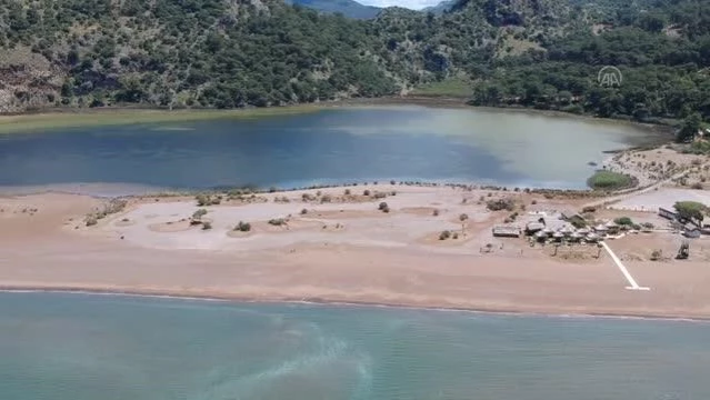 Dünyaca ünlü İztuzu sahilinin konukları caretta carettalar, yumurta bırakmaya başladı