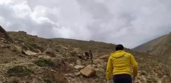 Pancar toplarken kayalıklardan düşüp, yaralandı