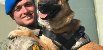 Şehit Uzman Onbaşı Gökçe'nin cenazesi Amasya'da (2)