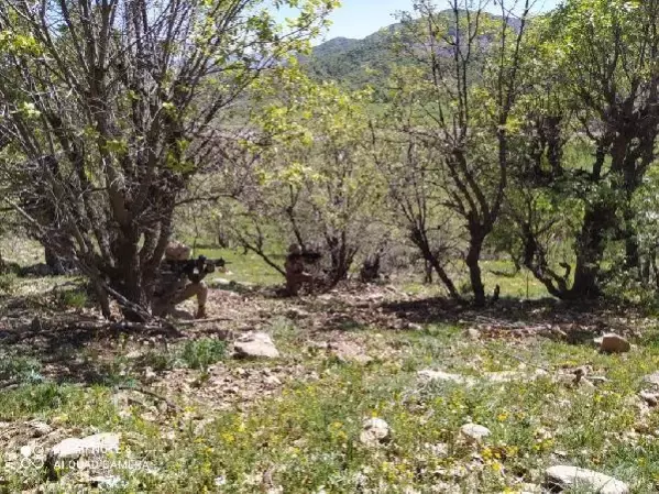 Şırnak ve Hakkari'de 'Eren-13' ve 'Eren-14' operasyonları başlatıldı