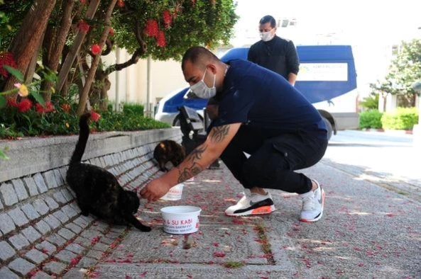 Tam kapanmada Kemer'de sokak hayvanlarına mama desteği sürecek