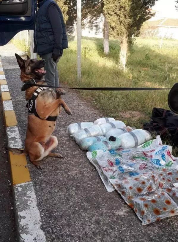 TIR'LA YURDA SOKULAN UYUŞTURUCUYU 'LARİSSA' BULDU