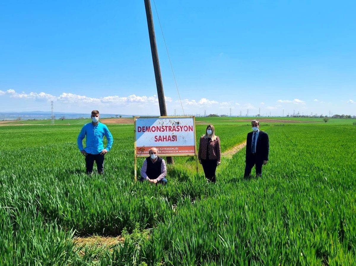 Yerli ve milli tohum çeşit demonstrasyonlarının 2. dönem kontrolleri yapıldı