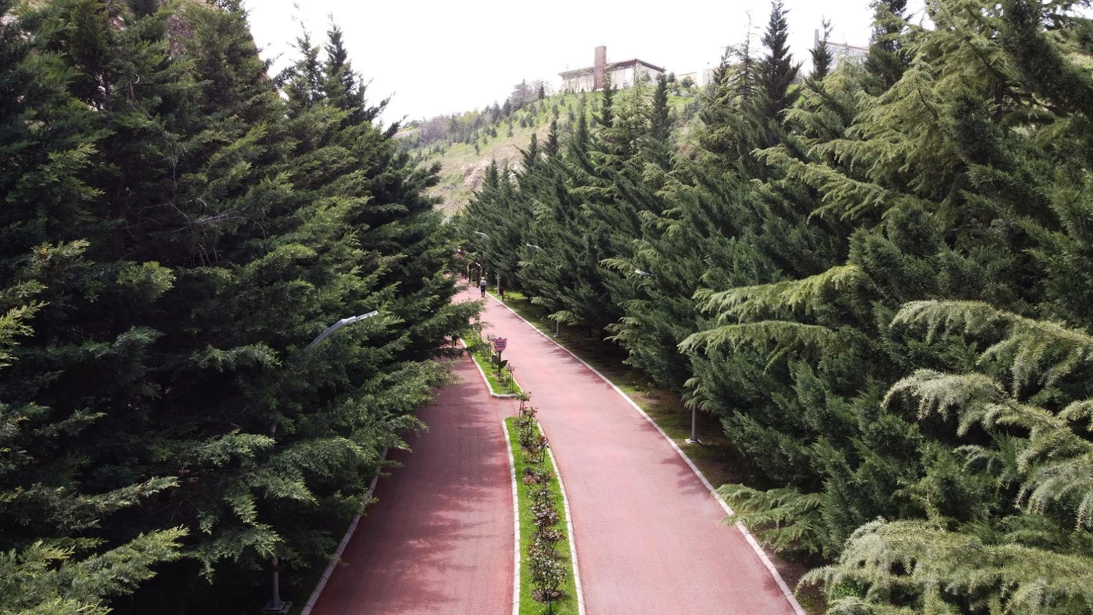 Keçiören Atatürk Botanik Bahçesi\'nde yeşilin her tonuna ev sahipliği yaptı