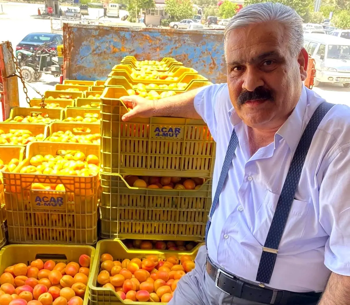 Mersin\'de sofralık kayısı hasadı başladı