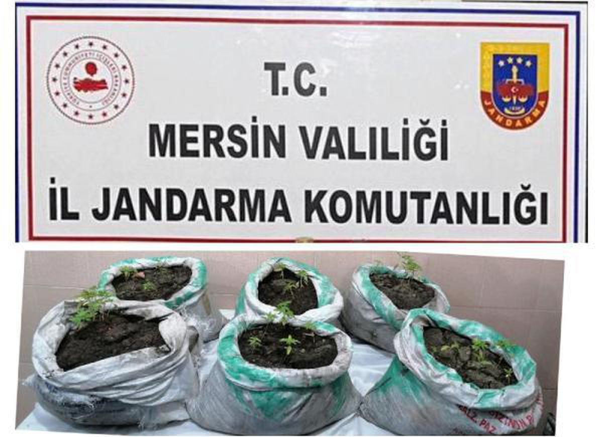 Mersin\'de uyuşturucu ticaretine 2 tutuklama