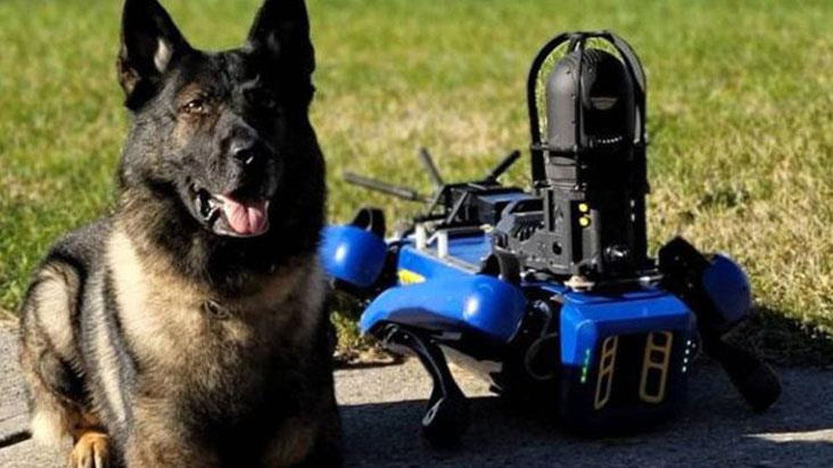 New York polisinin, robot köpek "Digidog"un kullanımına son verdiği iddiası