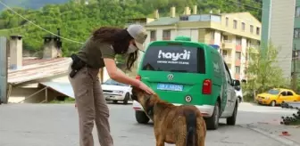 Son dakika haber: Artvin polisi, tam kapanmada sokak hayvanlarını unutmadı