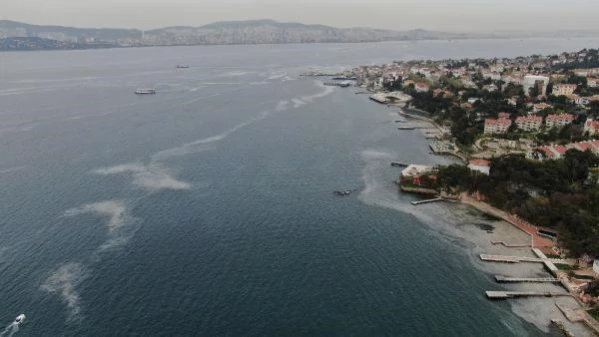 Ada sakinleri endişeli! Büyükada'yı 'salya' sardı Ada sakinleri endişeli! Büyükada'yı 'salya' sardı