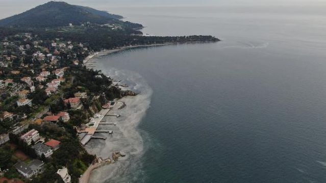 Ada sakinleri endişeli! Büyükada'yı 'salya' sardı Ada sakinleri endişeli! Büyükada'yı 'salya' sardı