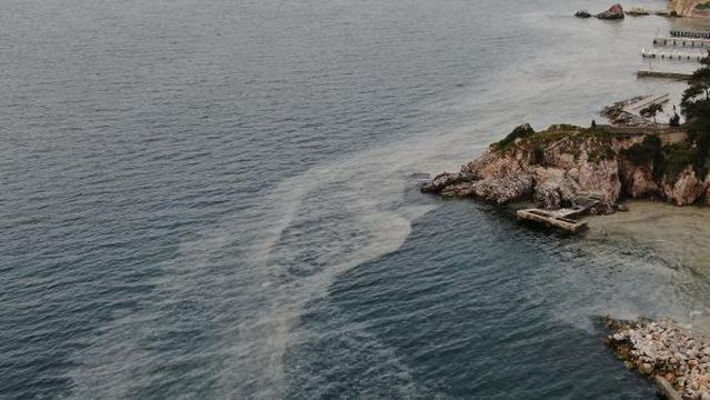Ada sakinleri endişeli! Büyükada'yı 'salya' sardı Ada sakinleri endişeli! Büyükada'yı 'salya' sardı