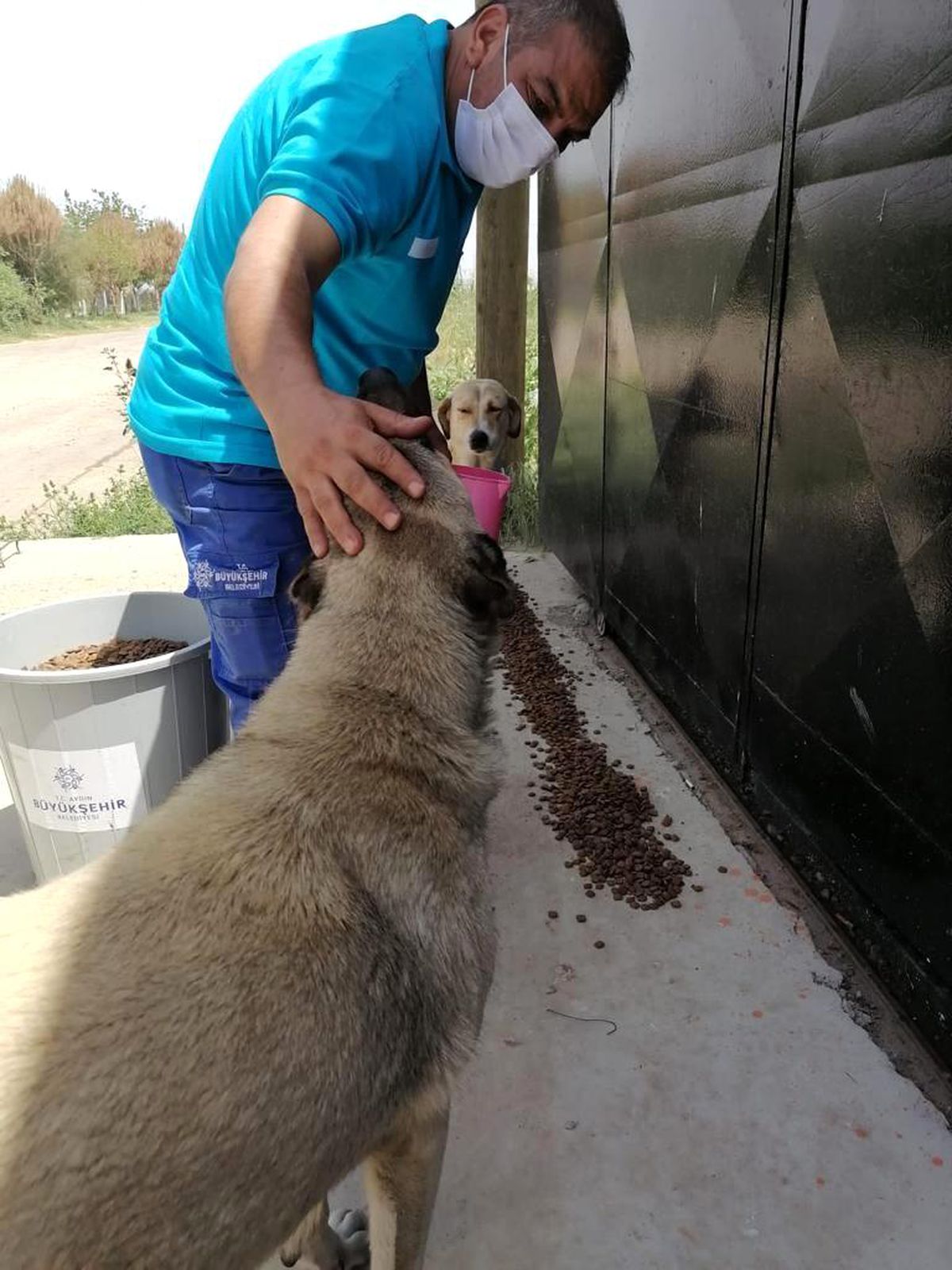 Büyükşehir, can dostlarını unutmadı
