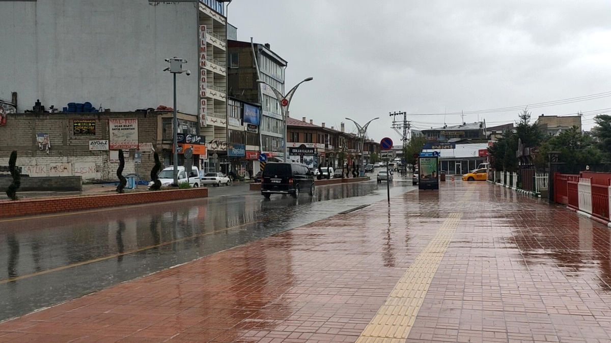 Erciş\'te yağmur çiftçinin yüzünü güldürdü