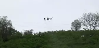 Fındık bahçeleri zirai insansız hava aracı ile ilaçlanmaya başlandı