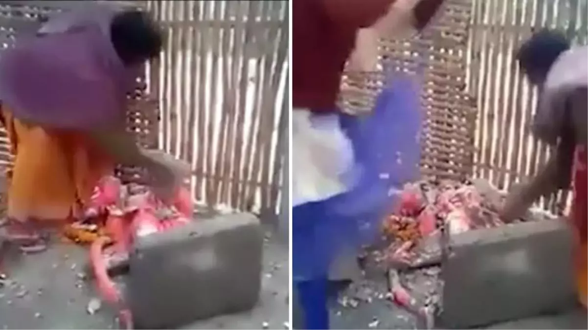 Hindistan\'da "Bizi koronadan koruyamadılar" diyen halk putları kırmaya başladı