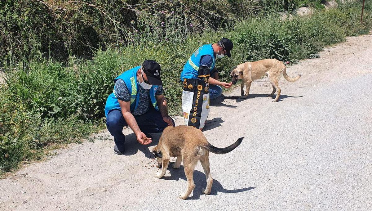 Son dakika haberleri: Polis sokak hayvanlarını unutmadı