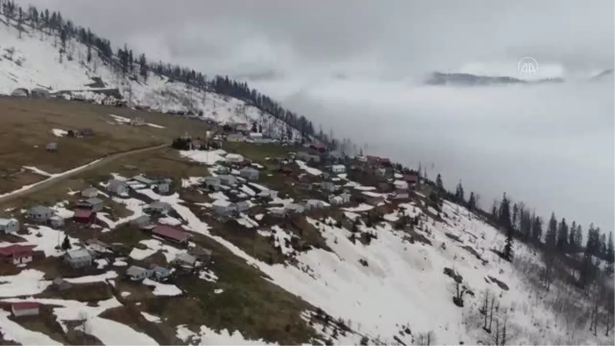 Salgın sürecinde yerleştikleri yaylalarda izole hayatın tadını çıkarıyorlar