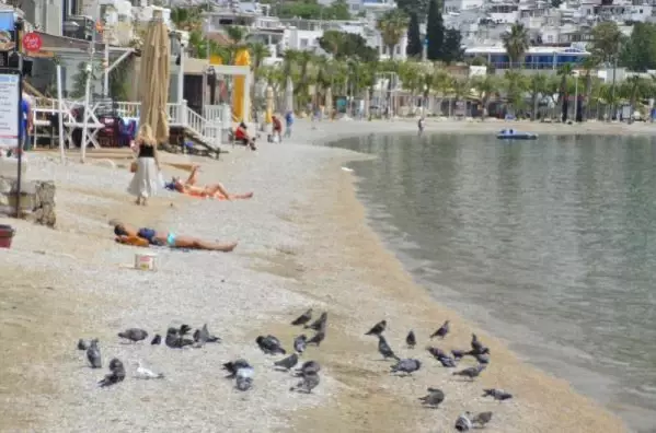 Bodrum plajları tam kapanmada turistlere kaldı Bodrum plajları tam kapanmada turistlere kaldı