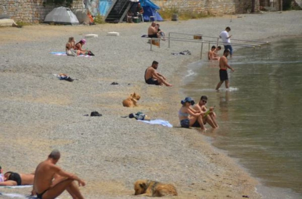 Bodrum plajları tam kapanmada turistlere kaldı