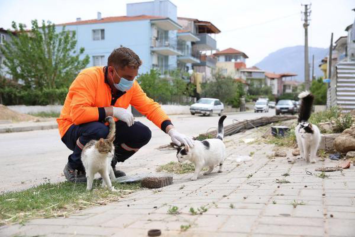 Denizli\'de hayvanlar için sokak ve caddelere mama ile su bırakıldı