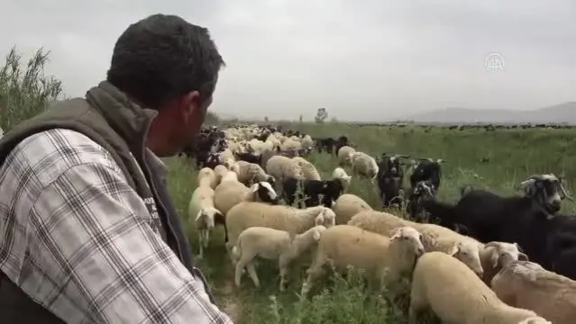 Göçerlerin yaylalara yolculuğu başladı Göçerlerin yaylalara yolculuğu başladı