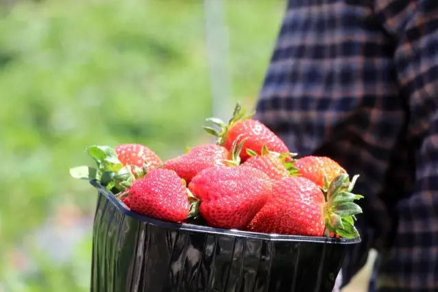 Bir dönüm ile başladı şimdi taleplere yetişemiyor Bir dönüm ile başladı şimdi taleplere yetişemiyor