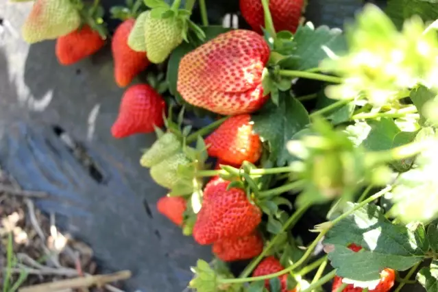 Bir dönüm ile başladı şimdi taleplere yetişemiyor Bir dönüm ile başladı şimdi taleplere yetişemiyor