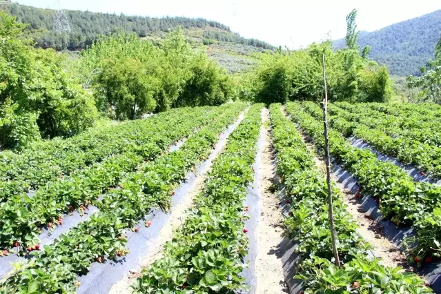 Bir dönüm ile başladı şimdi taleplere yetişemiyor Bir dönüm ile başladı şimdi taleplere yetişemiyor