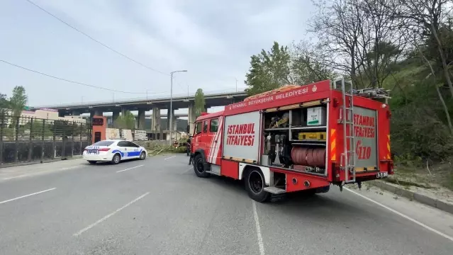 İstanbul'da ağaçlar yola devrildi: İBB'ye ulaşılamayınca polis temizledi İstanbul'da ağaçlar yola devrildi: İBB'ye ulaşılamayınca polis temizledi