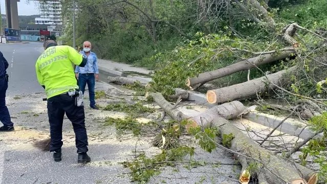 İstanbul'da ağaçlar yola devrildi: İBB'ye ulaşılamayınca polis temizledi İstanbul'da ağaçlar yola devrildi: İBB'ye ulaşılamayınca polis temizledi
