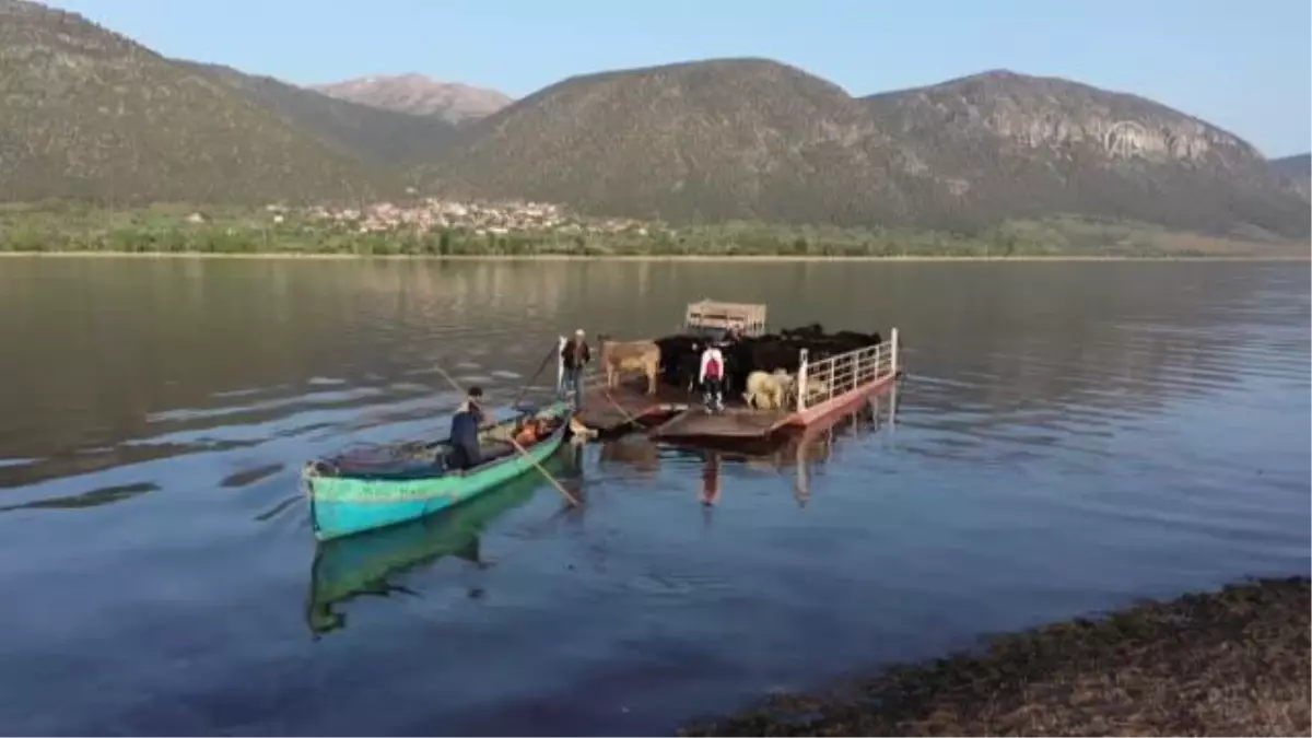 Mada Adası\'ndaki Yörükler yaylaya kayıklarla çıkıyor