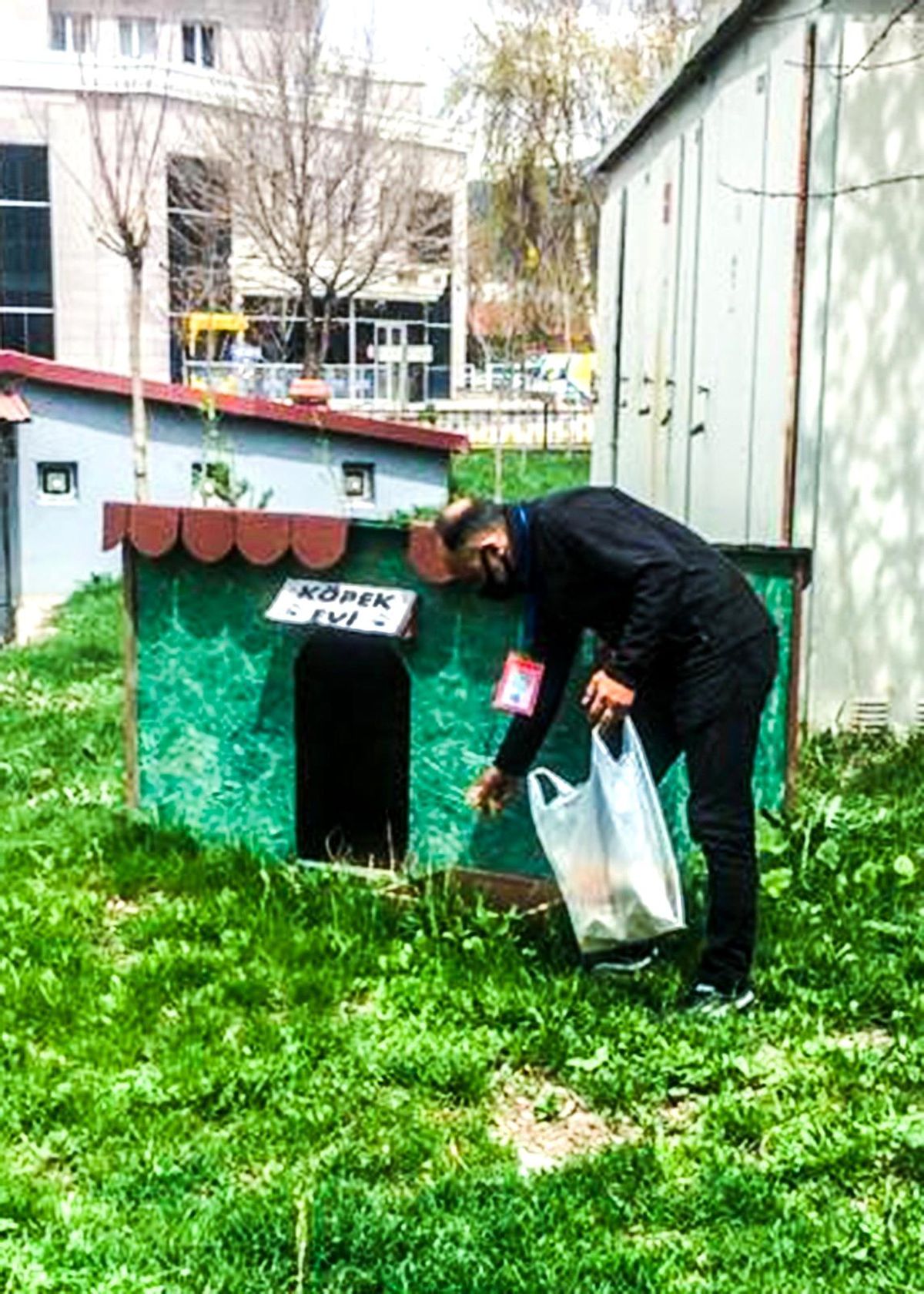 Tam kapanma sürecinde sokak hayvanları unutulmadı