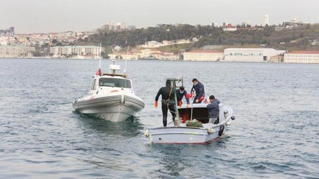 Türkiye'de tüketilmeyen denizsalyangozları dünyanın dört bir yanına ihraç ediliyor! Gençlik iksiri ve kansere çare