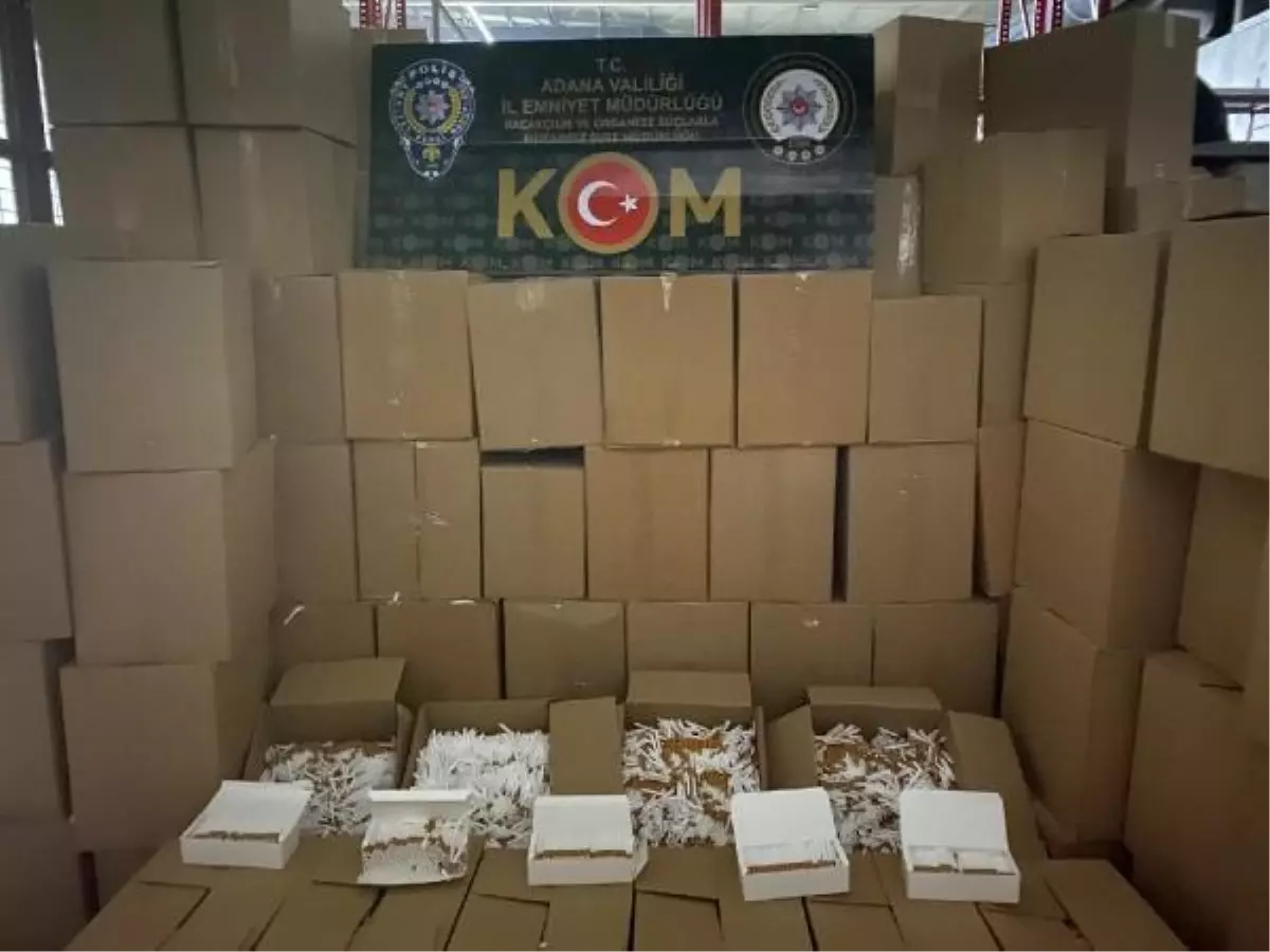Adana 5,5 milyon gümrük kaçağı makaron ele geçirildi