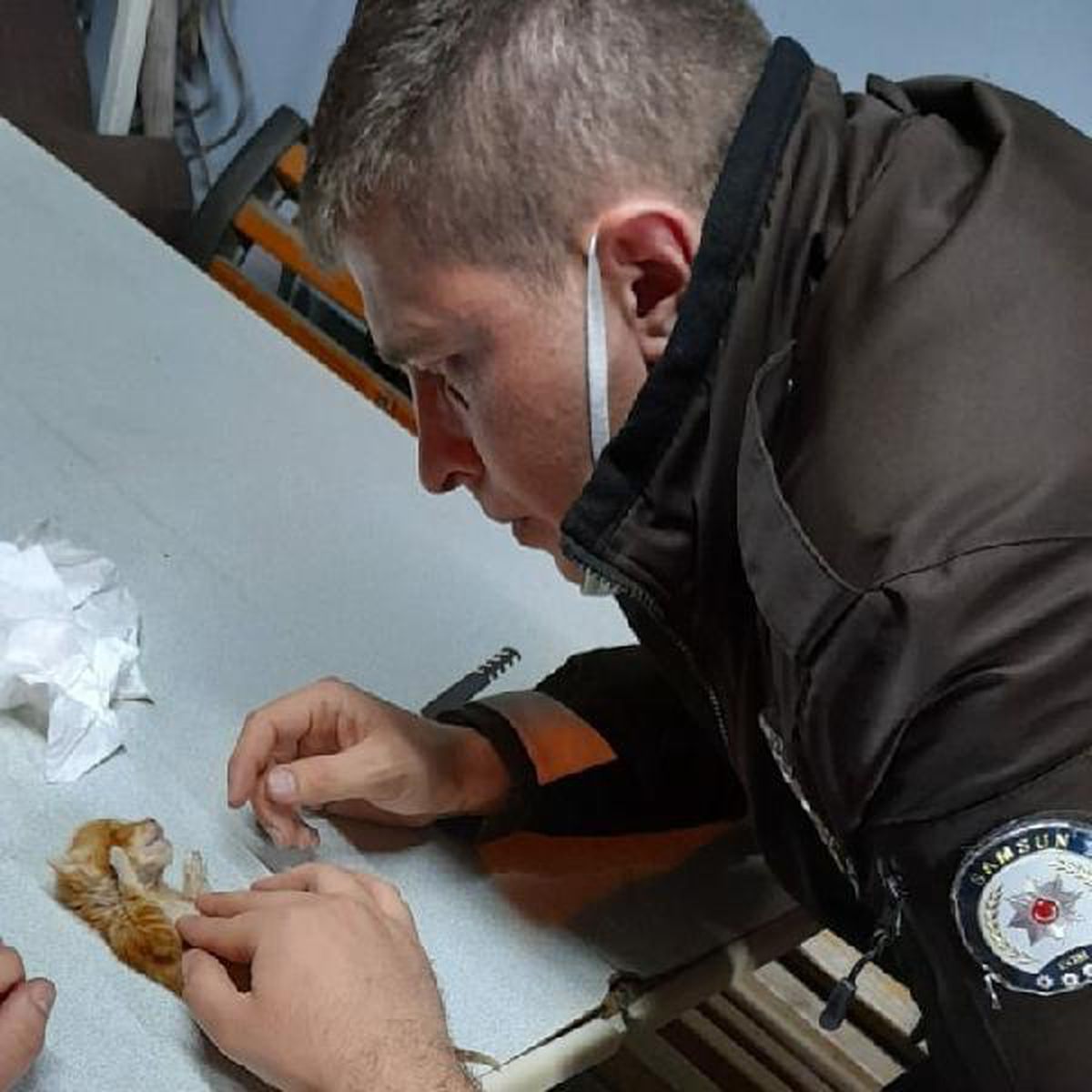 Bekçi, yavru kediyi kalp masajıyla hayata döndürdü