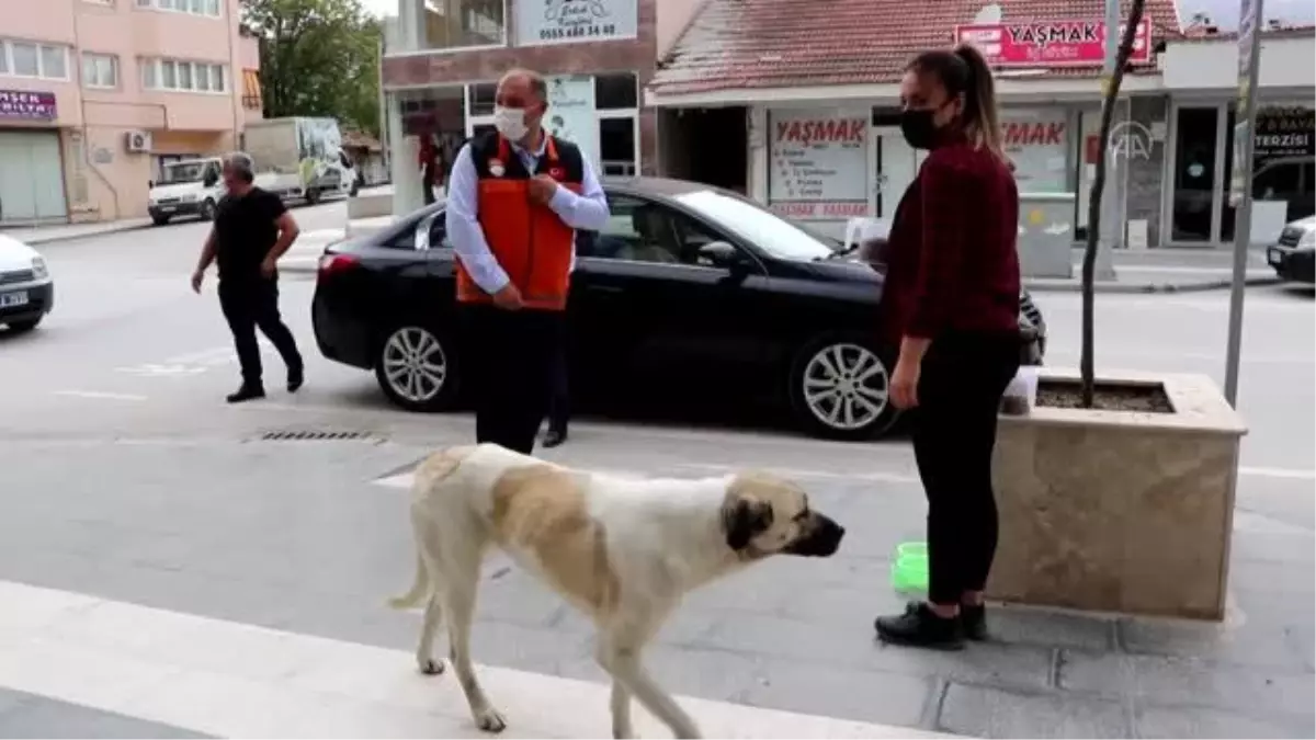 Burdur\'un Gölhisar ilçesinde Vefa Sosyal Destek Grupları, tam kapanmada yiyecek bulmakta zorlanan sokak hayvanlarını besledi.