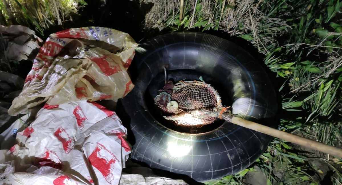 Denetimlerde 350 kilo inci kefali balığı ele geçirildi