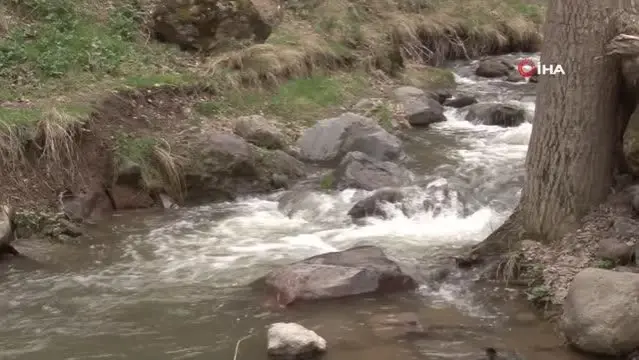 erciyes in kari eridi kirlangic vadisi costu son dakika