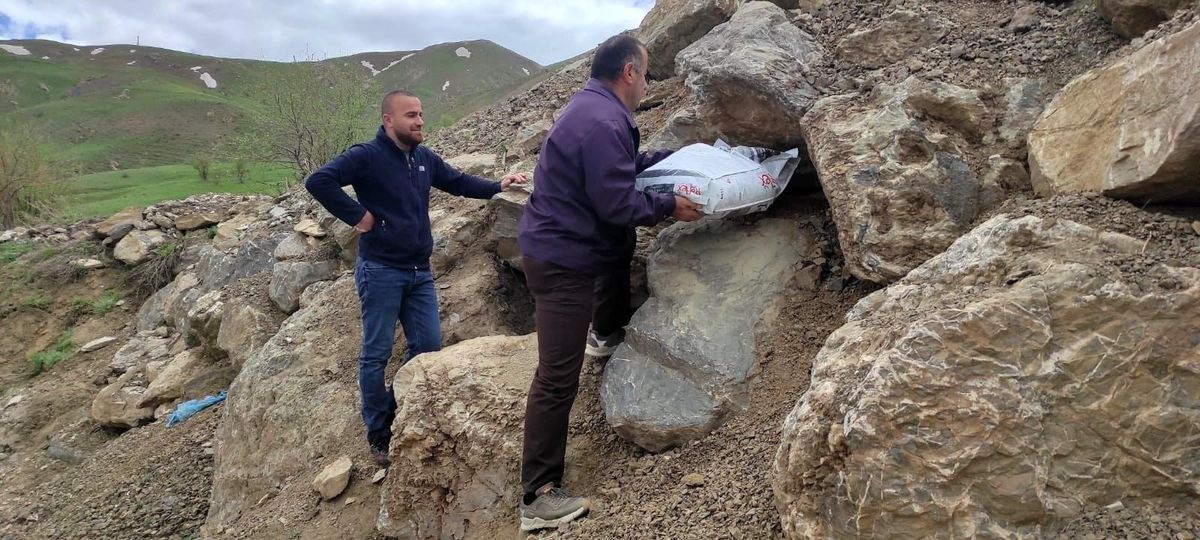 Hakkari\'nin maskotu tilkiler için yiyecek bırakıldı