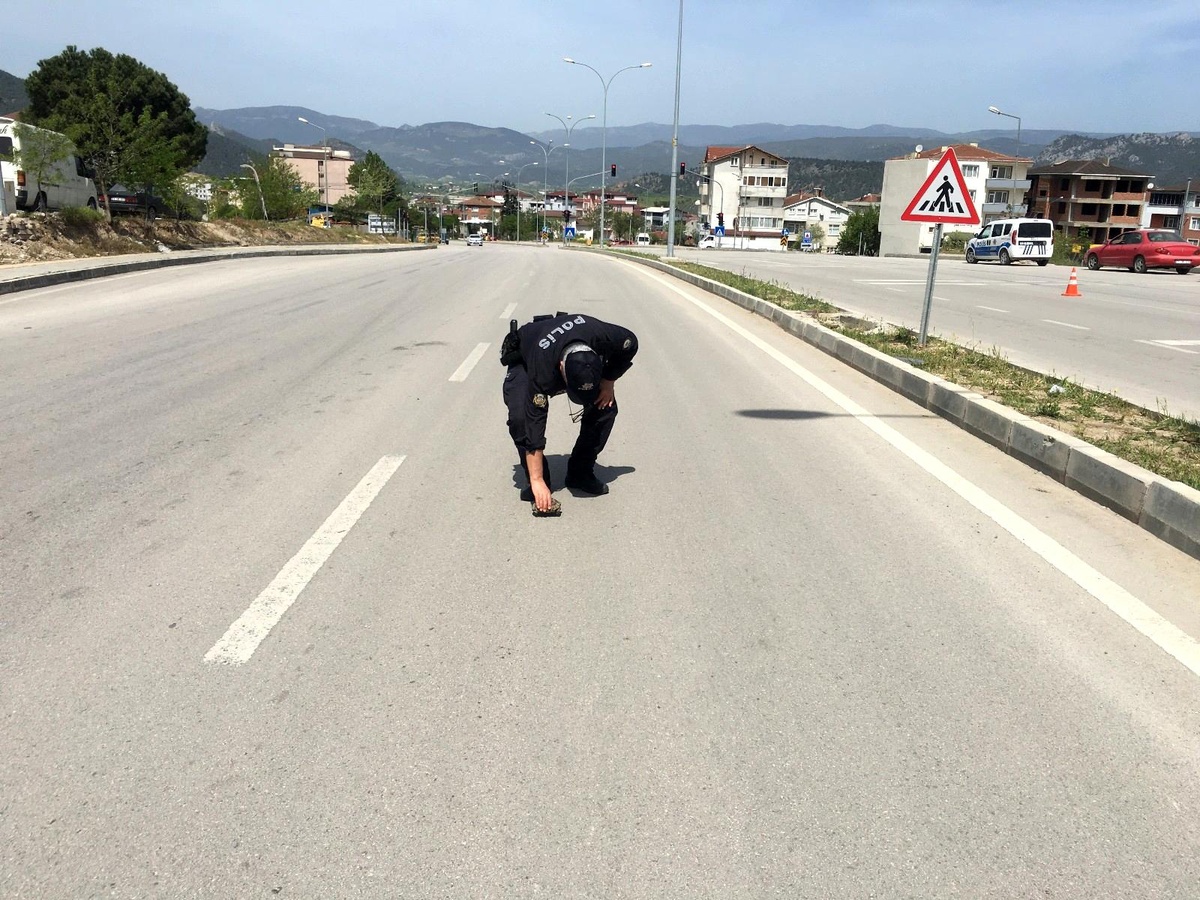 Karayolunu geçmeye çalışan kaplumbağaya polis yardım etti