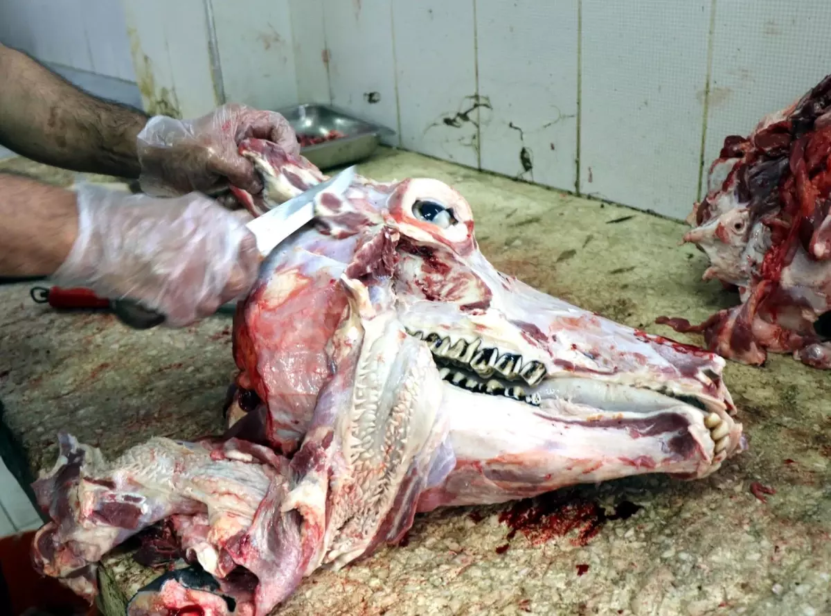 Kasaplardan \'kelle eti\' önerisi