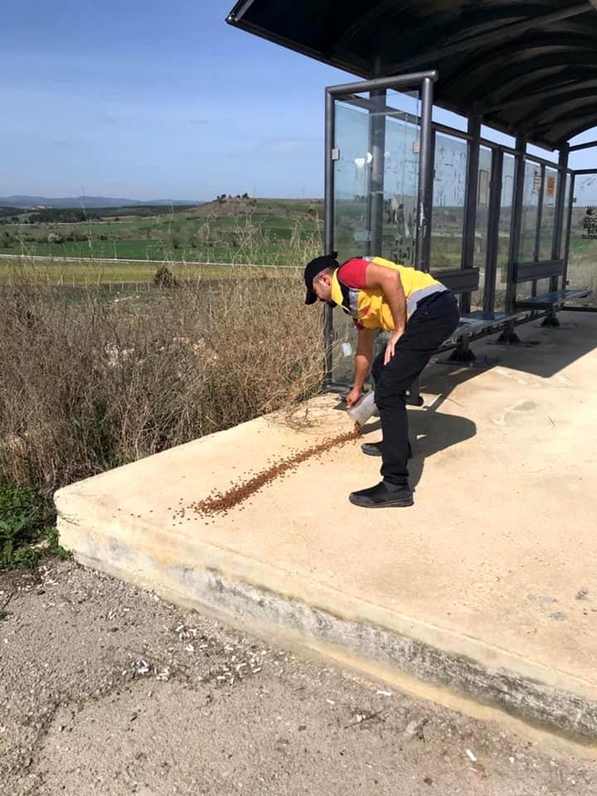 Kastamonu Belediyesi, sokak hayvanları ile kuşları besledi