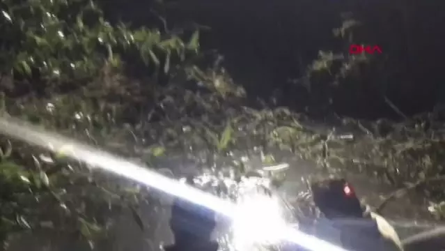 Burdur'da kayıp 10 yaşındaki çocuk aranıyor Burdur'da kayıp 10 yaşındaki çocuk aranıyor