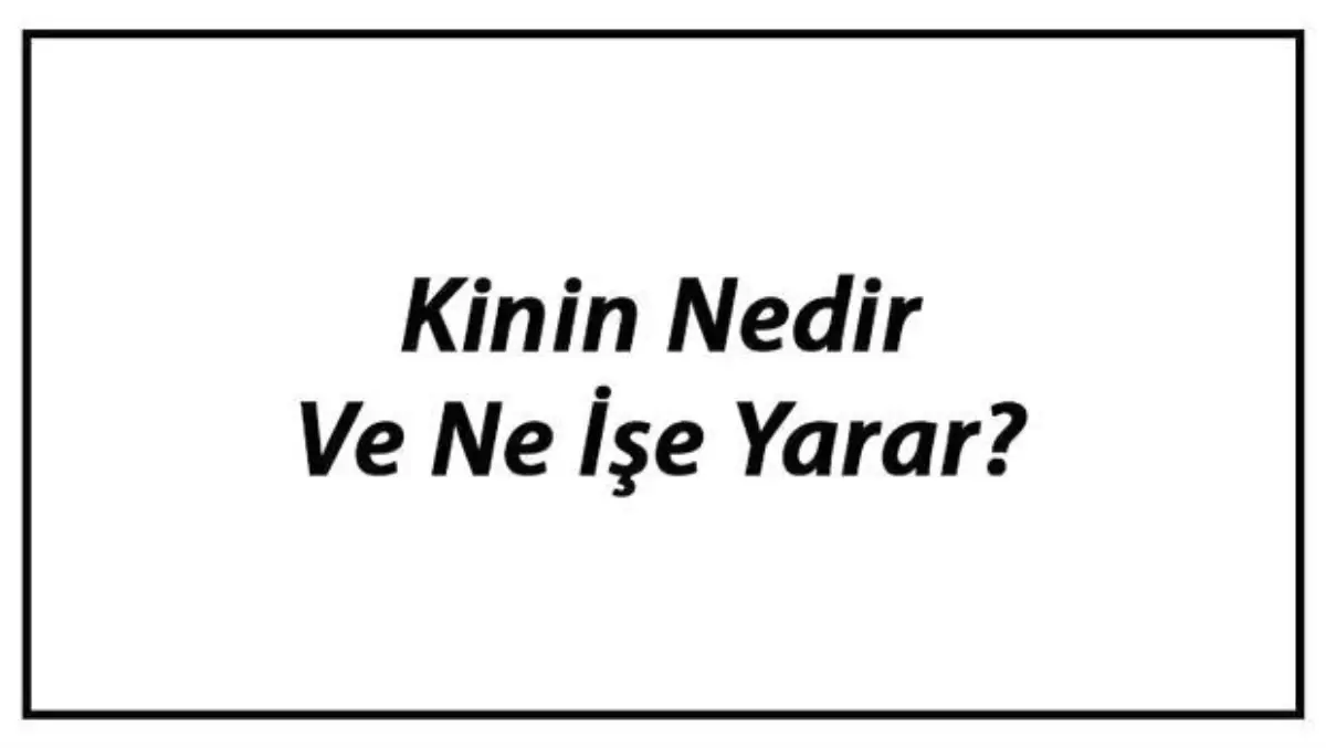 Kinin Nedir ve Ne İşe Yarar?