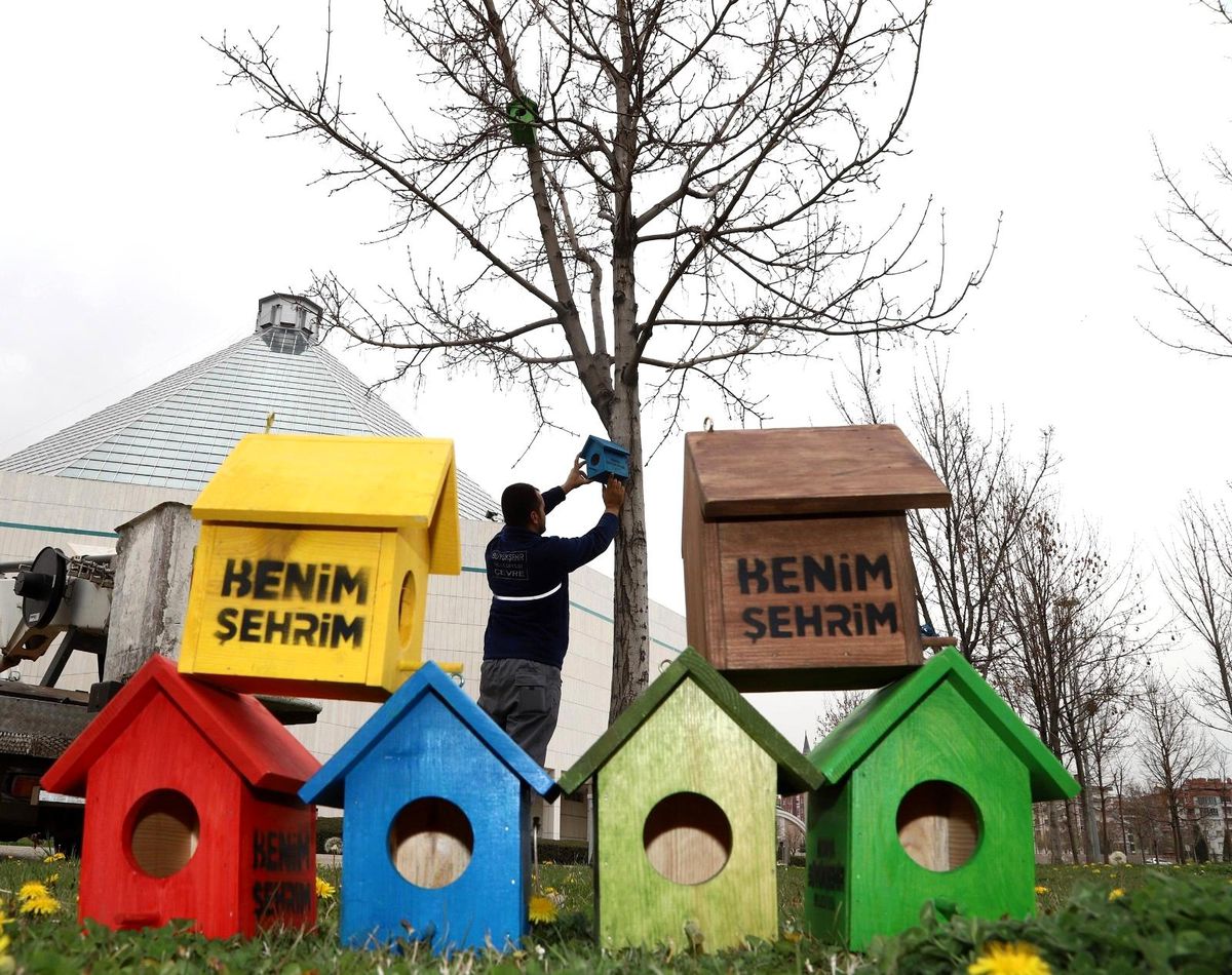 Konya\'da şehir geneline kuş evleri monte edildi