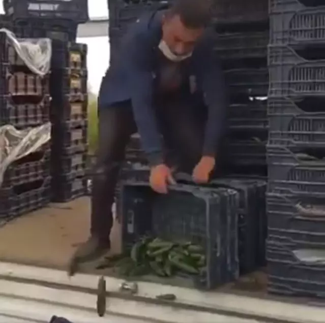 Mal para etmiyor diyerek kasa kasa salatalığı sokağa döktü Mal para etmiyor diyerek kasa kasa salatalığı sokağa döktü