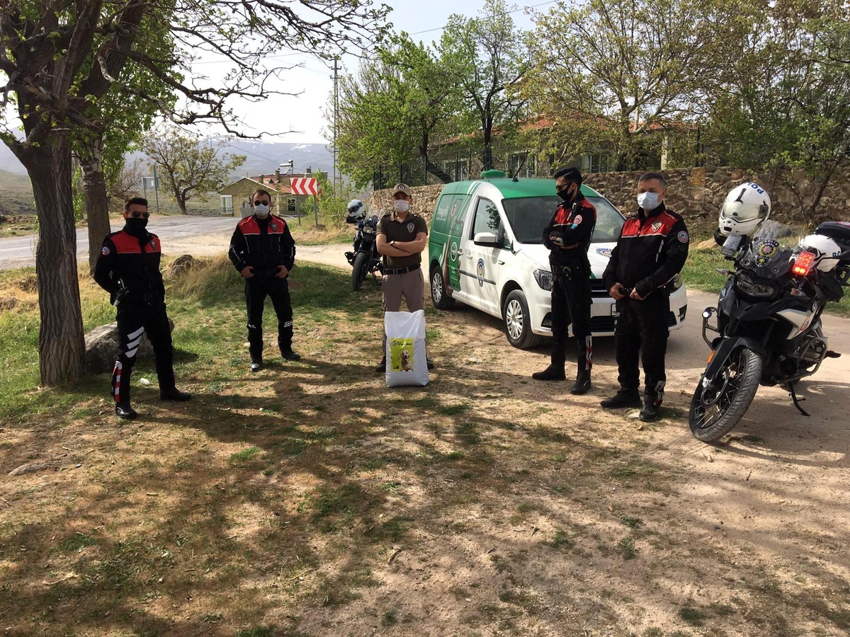 Polisler sokak kısıtlamasında hayvanları besledi